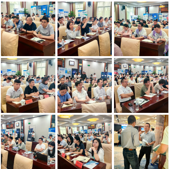 1747303501517358.png 1747303495448.png